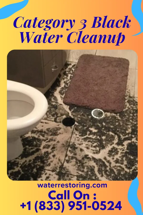 Category 3 Black Water Cleanup in Bowdens, NC